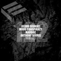 Moog Conspiracy - Remixes 1