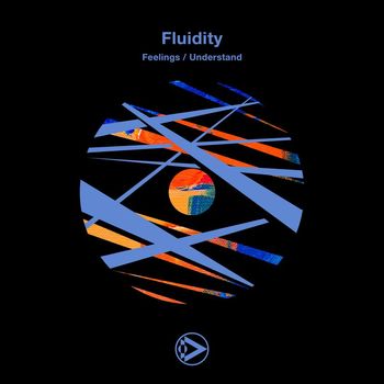 Fluidity - Feelings / Understand