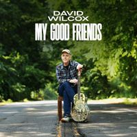 David Wilcox - My Good Friends