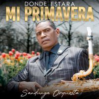 Sandunga Orquesta - Donde Estara Mi Primavera