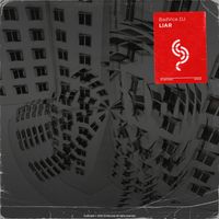 BadVice DJ - LIAR