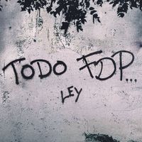 Ley - Todo FDP