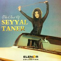 Seyyal Taner - Seyyalname