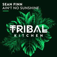 Sean Finn - Ain't No Sunshine
