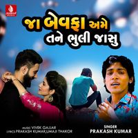 Prakash Kumar - Ja Bewafa Ame Tane Bhooli Jasu - Single