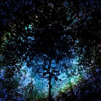 Joseph Ward - The Dreaming Tree