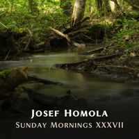 Josef Homola - Sunday Mornings XXXVII