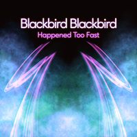 Blackbird Blackbird - Happened Too Fast