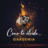 Gardenia - Cómo Te Olvido...
