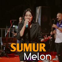 Melon - Sumur