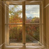 Streams of Soan - Find A Window If Not A Door