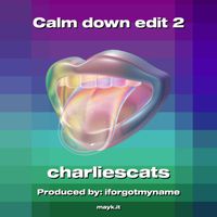 Charlie - Unexpected Calm: Don't Worry  It's Temporary (Explicit)