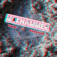 Hamid - Mokhammer