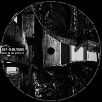 IGOR - Noise In The Wires