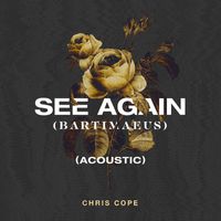 Chris Cope - See Again (Bartimaeus) (Acoustic)