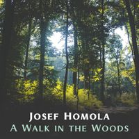 Josef Homola - A Walk in the Woods