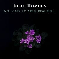 Josef Homola - No Scars To Your Beautiful