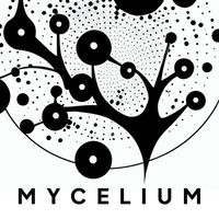 Mycelium - Moderator