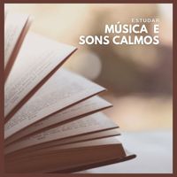 Musicas para Estudar Collective - Estudar: Música  e Sons Calmos