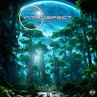 Introspect - Wake Up In Heaven