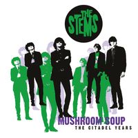 The Stems - Mushroom Soup (The Citadel Years)
