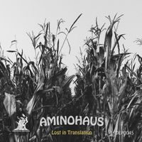 Aminohaus - Lost in Translation