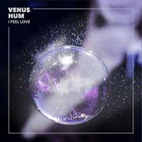 Venus Hum - I Feel Love
