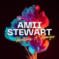 Amii Stewart - Sometimes A Stranger