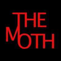 Marek Bois - The Moth