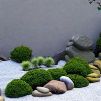 Gjenklang - Zen Garden