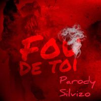 Silvizo Official - Fou de toi #parody