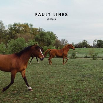 Matthew Thomas - Fault Lines (Stripped)