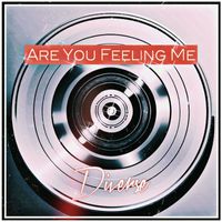 Diverse - ARE YOU FEELING ME (Explicit)