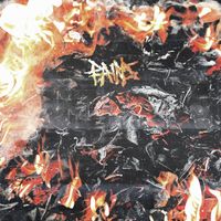 Pains - Smoldering Willows / The Suffering Is the Point