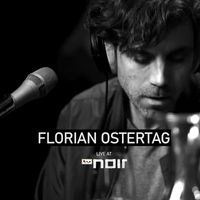 Florian Ostertag - Live at TV Noir
