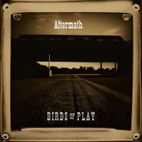 Birds of Play - Aftermath
