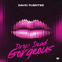 David Puentez - Drop Dead Gorgeous