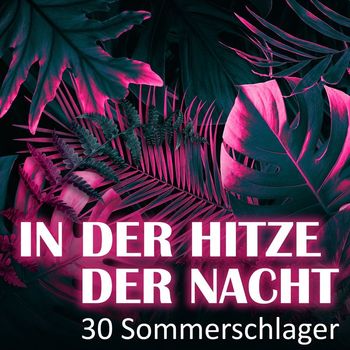 Various Artists - In der Hitze der Nacht - 30 Sommerschlager