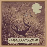 Carrie Newcomer - A Great Wild Mercy