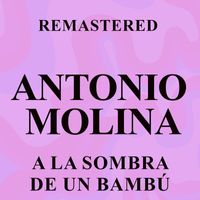 Antonio Molina - A la sombra de un bambú (Remastered)