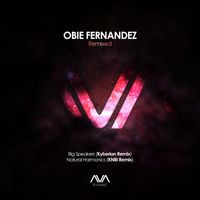 Obie Fernandez - Remixed