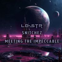 LeStR - Snitchez / Meeting the Impeccable
