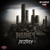 Insane S - Destroy (Explicit)