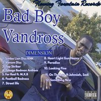 Dimension - BadBoy Vandross