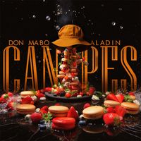 Aladin - Canapés