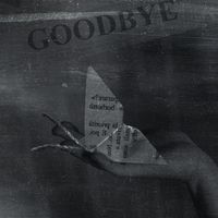 Paola - Goodbye