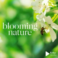 Laurent Dury - Blooming Nature