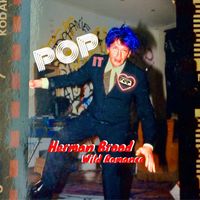 Herman Brood & His Wild Romance - Pop It