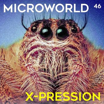 Microworld - X-Pression 2023