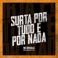 MC Brisola - Surta por tudo e por nada (Explicit)